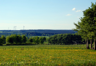 Elfriede Theißen, Imgenbroich  © Elfriede Theißen